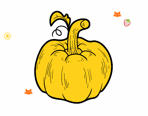 Una calabaza cucurbita