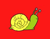 El caracol