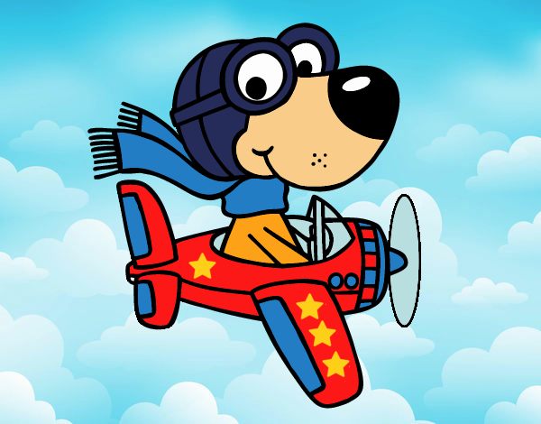 Perro piloto