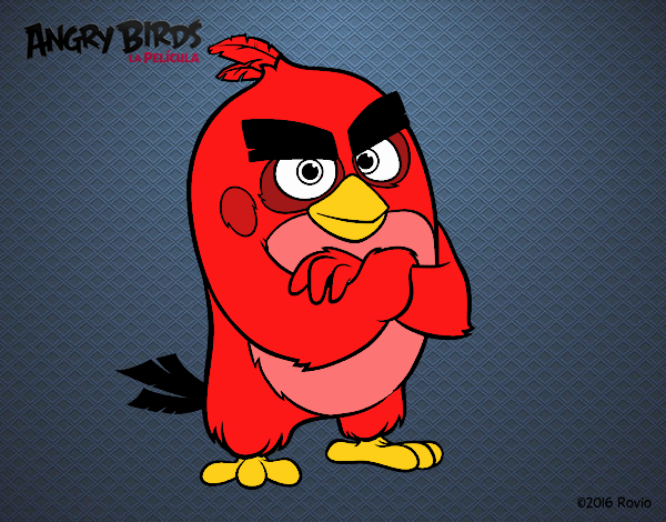 Red de Angry Birds