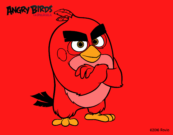 Red de Angry Birds