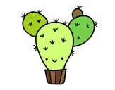 Cactus nopal