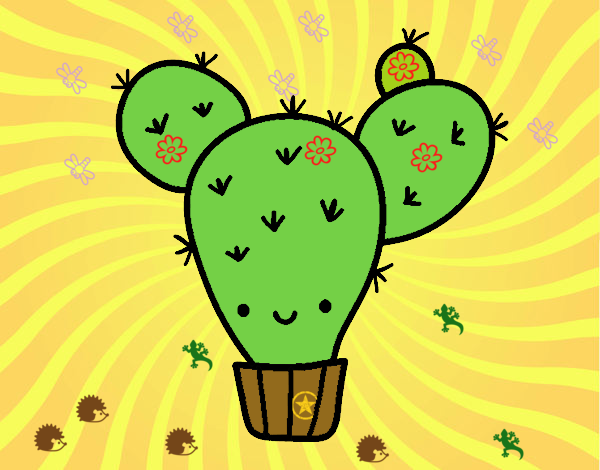 Cactus nopal