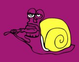 Caracol limpio