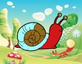 El caracol