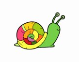 El caracol