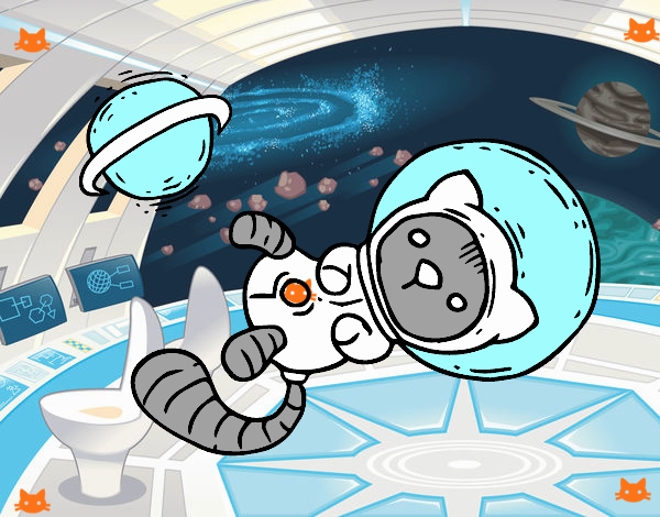 Gatito astronauta