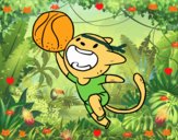 Gato jugando a baloncesto