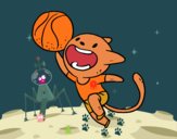 Gato jugando a baloncesto