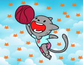 Gato jugando a baloncesto