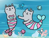 Gatos sirena