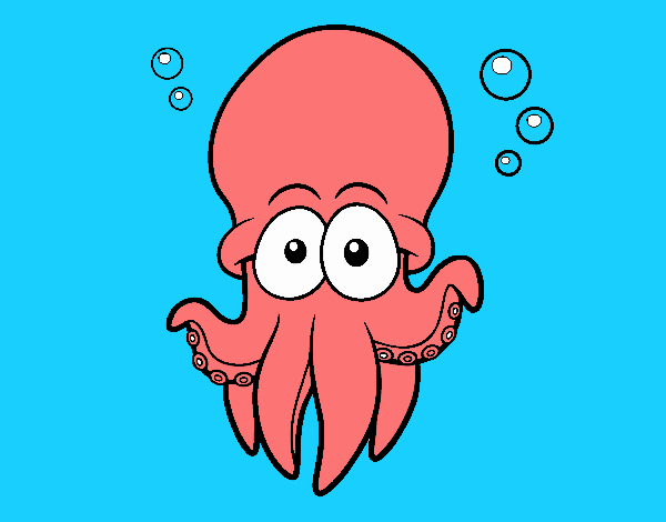 Pulpo rojo