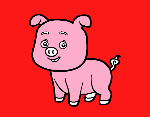 CERDITO