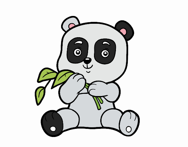 Un oso panda