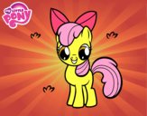 Apple Bloom