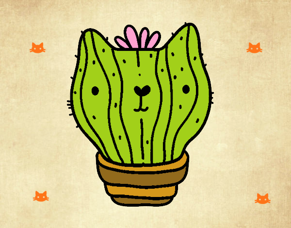 Cactus gato