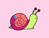 El caracol