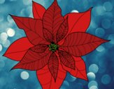 Flor de poinsetia