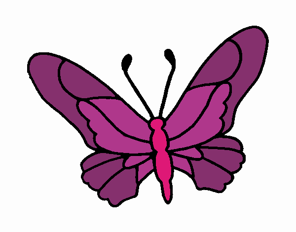 Mariposa 6a