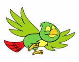Dibujo Pájaro volando pintado por Zamuro