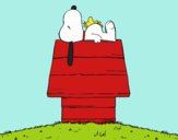 Snoopy durmiendo