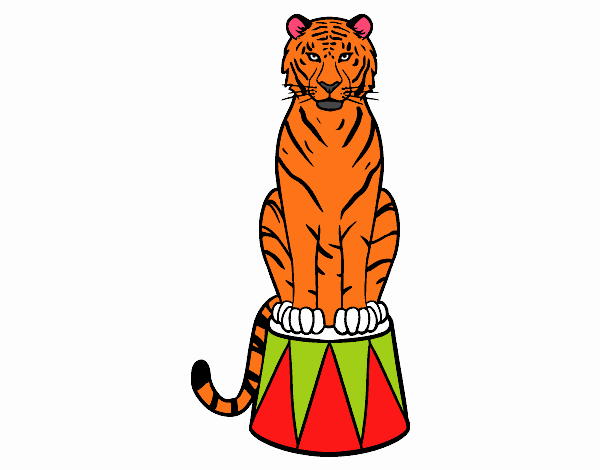 Tigre de circo