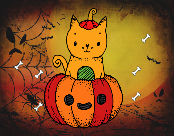 Un gatito de Halloween