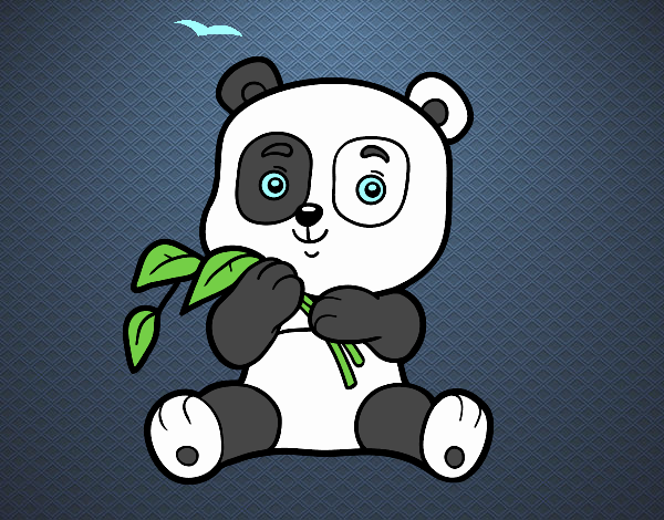 Un oso panda