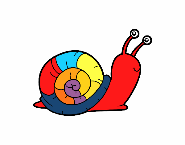 El caracol