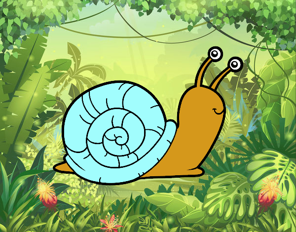 El caracol