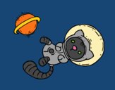 Gatito astronauta