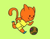 Gato jugando a fútbol