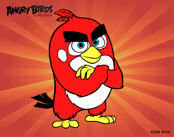 Red de Angry Birds