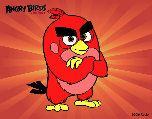 Red de Angry Birds