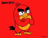 Red de Angry Birds