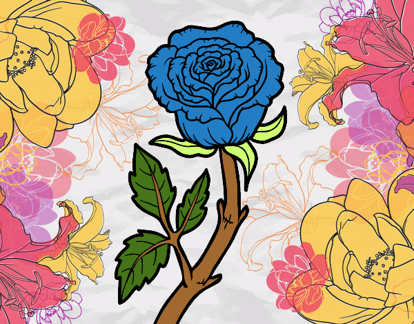 la rosa azul