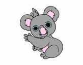 Un Koala