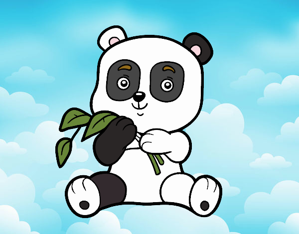 Un oso panda