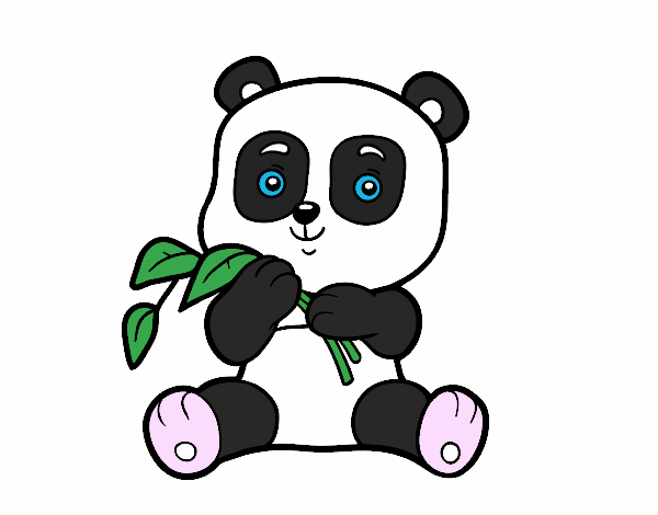 Un oso panda