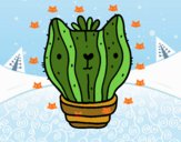 Cactus gato