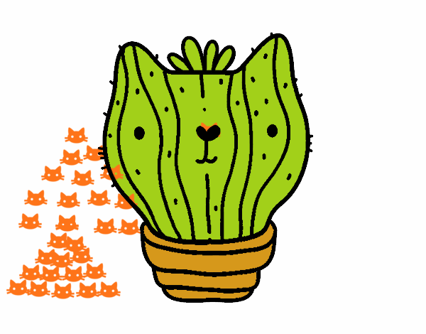 Cactus gato