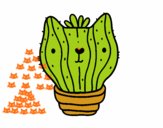 Cactus gato
