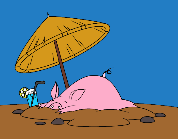 Cerdito en la playa