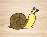 El caracol