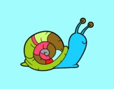 El caracol