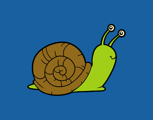 El caracol