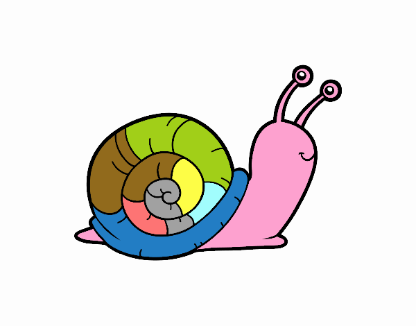 El caracol