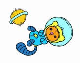 Gatito astronauta