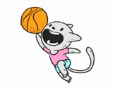 Gato jugando a baloncesto