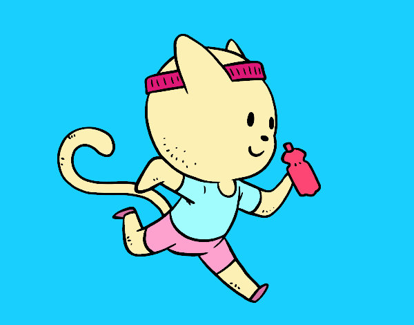 Gato runner